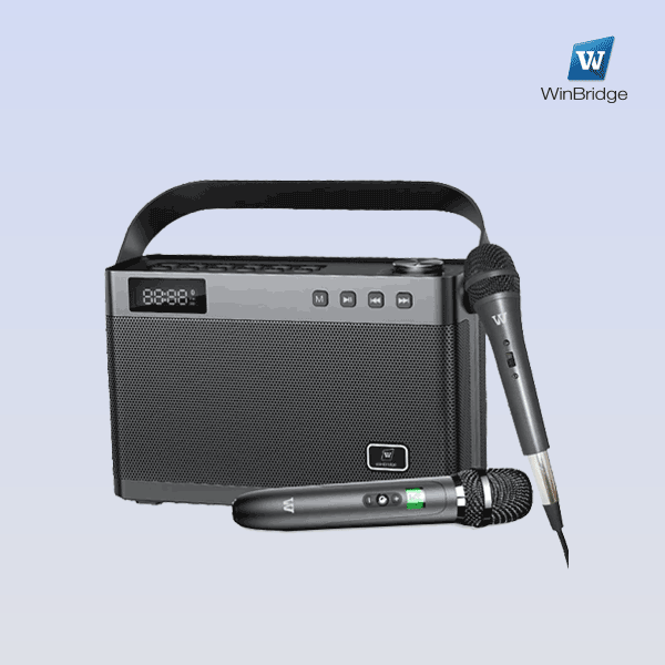WinBridge T9 Portable PA System Karaoke Machine 40 Watt With Wirereless Microphone